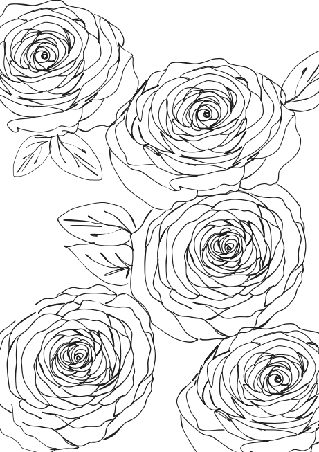 Coloring Booklet Florescer