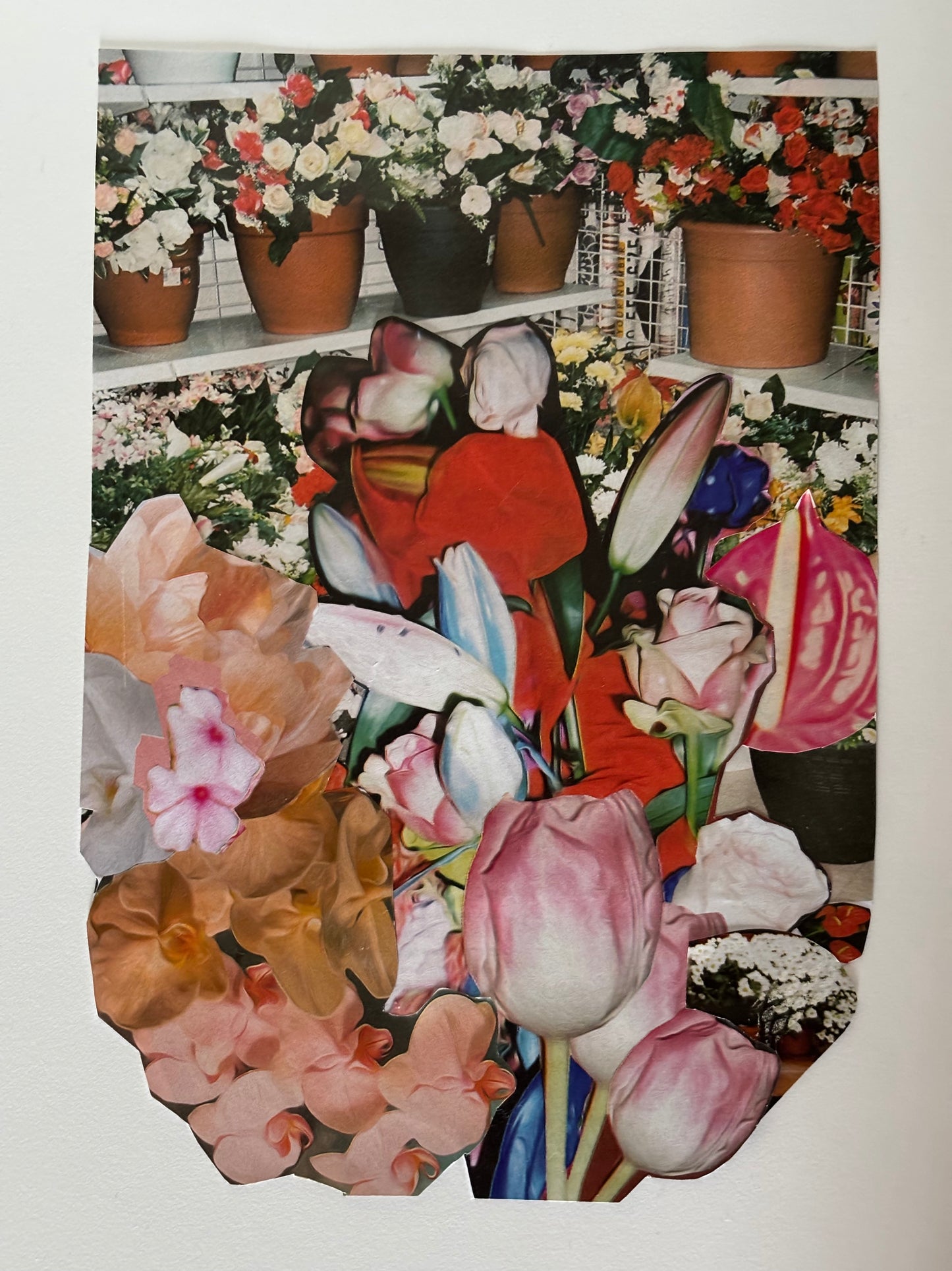 Collage Florescer
