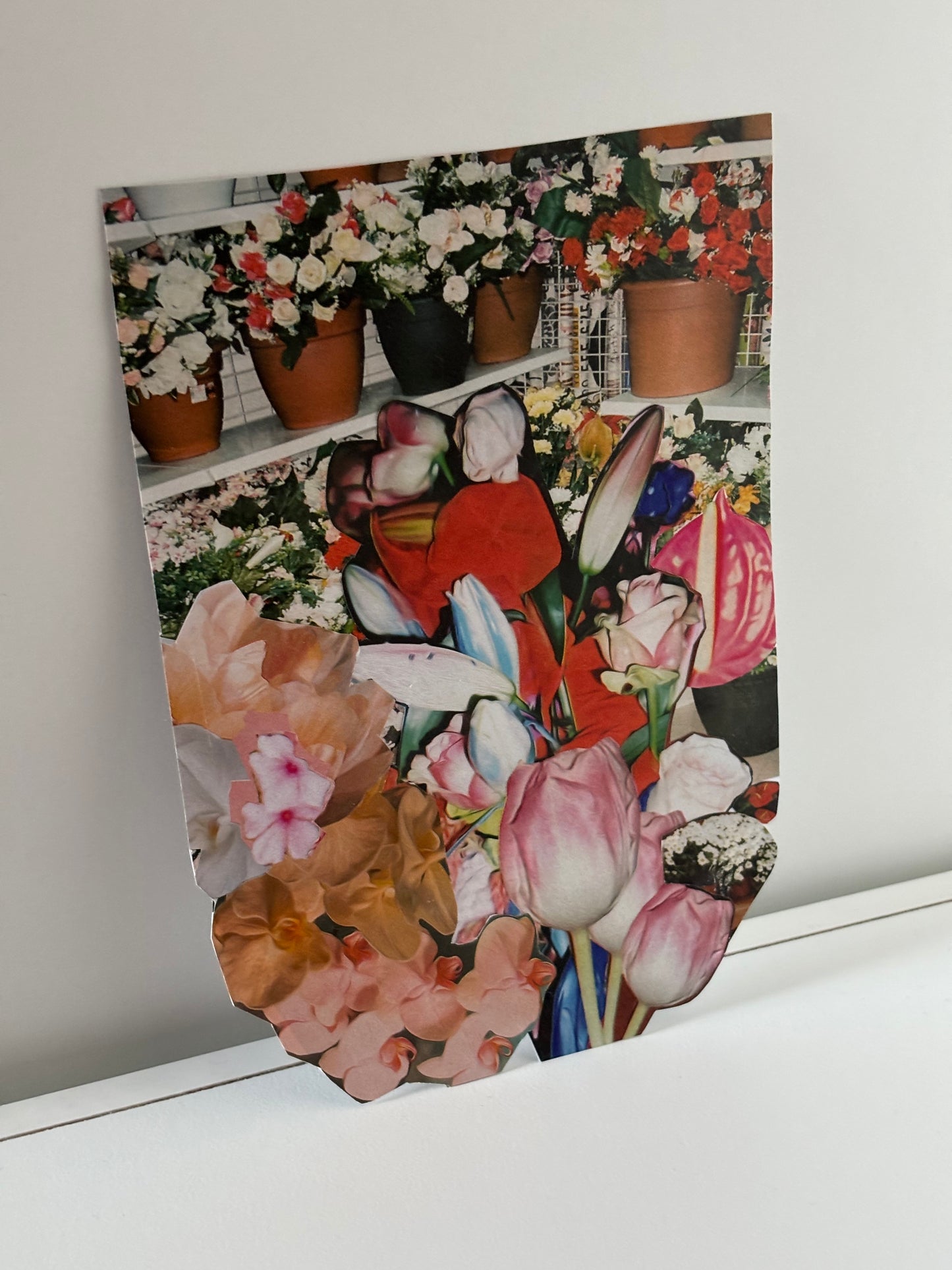 Collage Florescer
