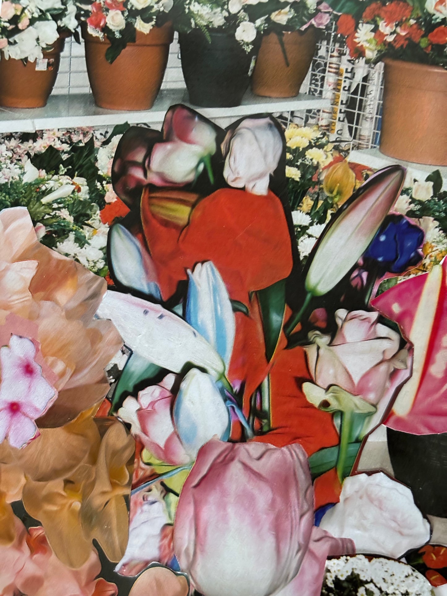 Collage Florescer