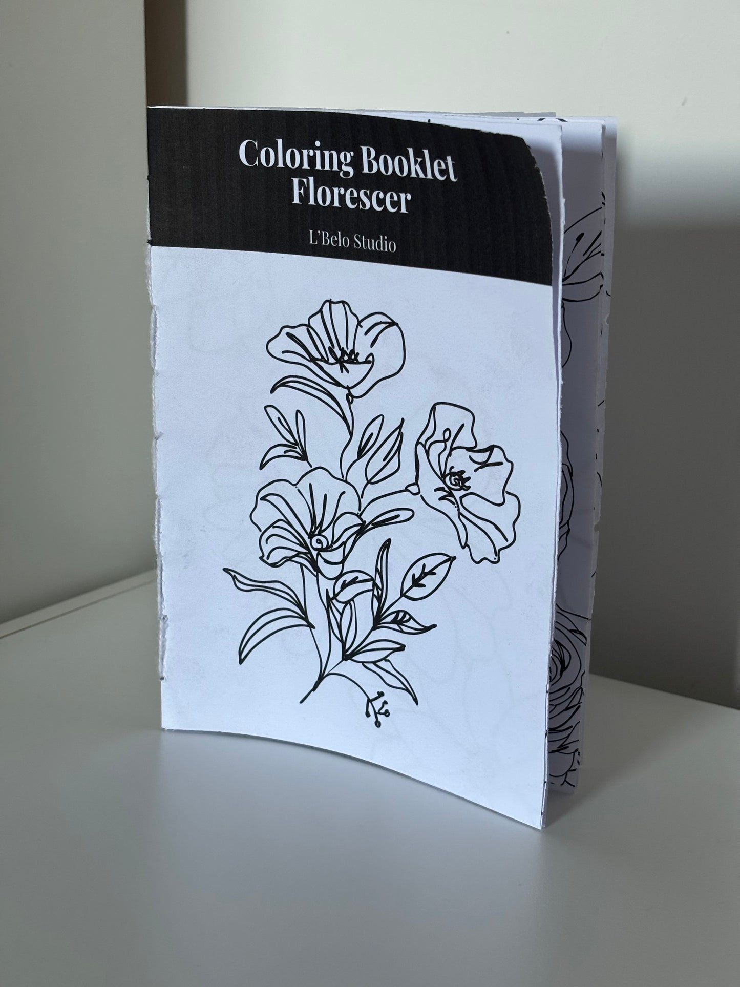 Coloring Booklet Florescer
