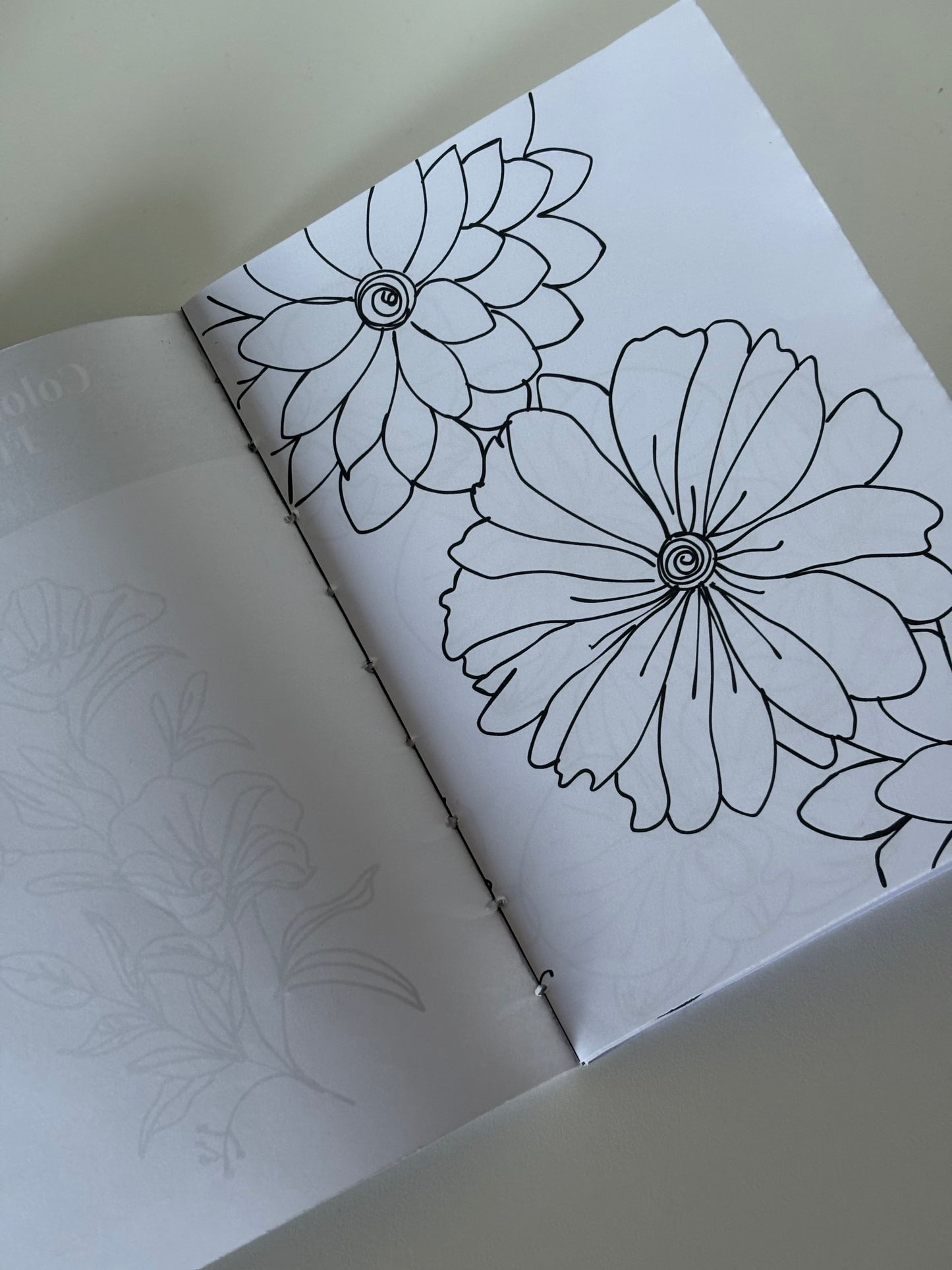 Coloring Booklet Florescer